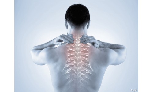 QU'EST CE QU'UN TMS ?